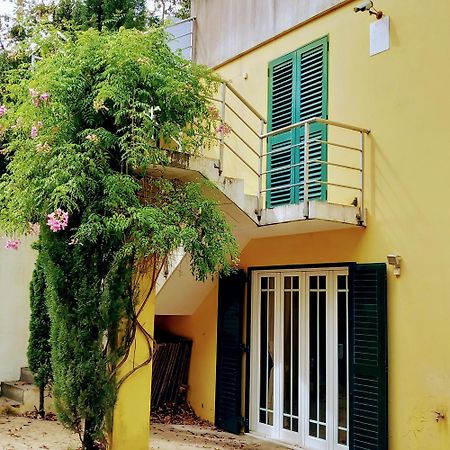 Casa Amarante Porto Villa Exterior foto