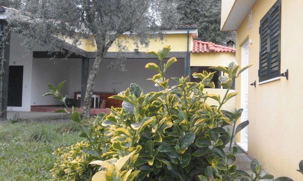 Casa Amarante Porto Villa Exterior foto